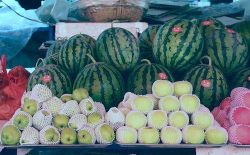 康县老头吃瓜,岁月静好,瓜香四溢 第3张 康县老头吃瓜,岁月静好,瓜香四溢 第3张